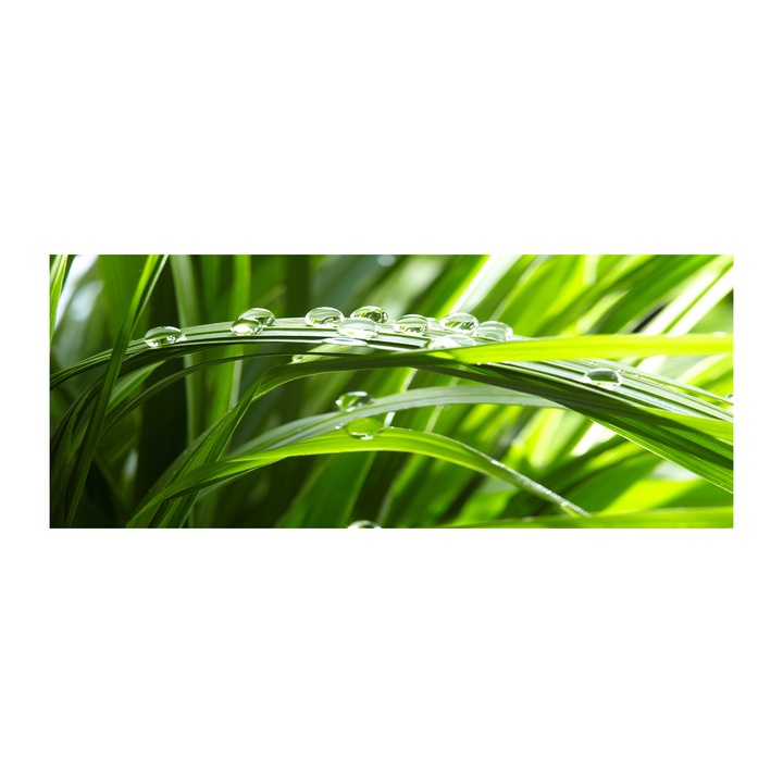 Pictura pe panza. 125 cm x 50 cm. Decorarea peretilor - Picaturi pe iarba