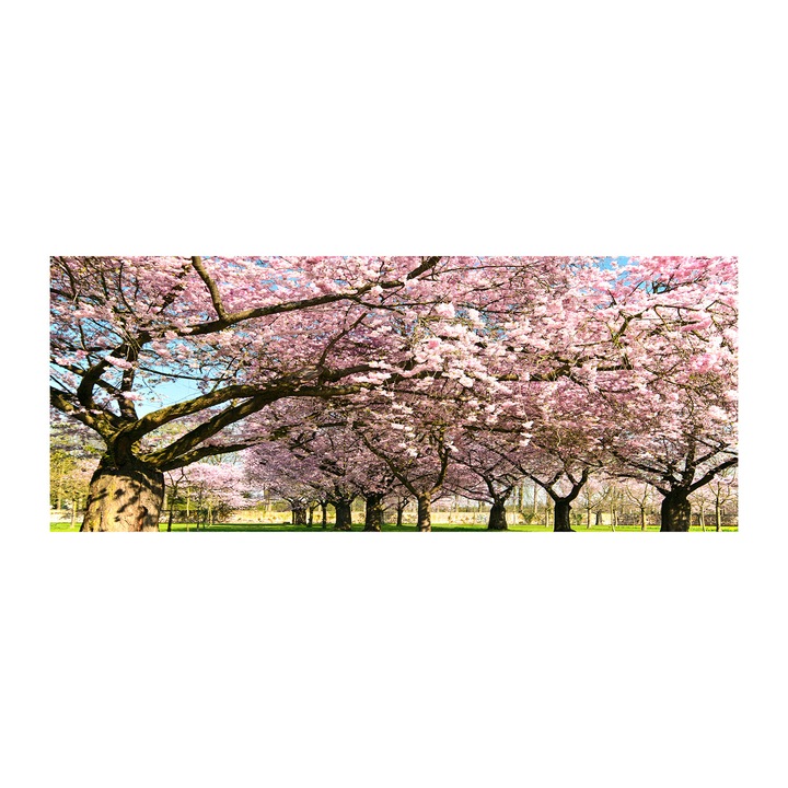 Pictura pe panza. 125 x 50cm. Decorarea peretilor "Ciresi”