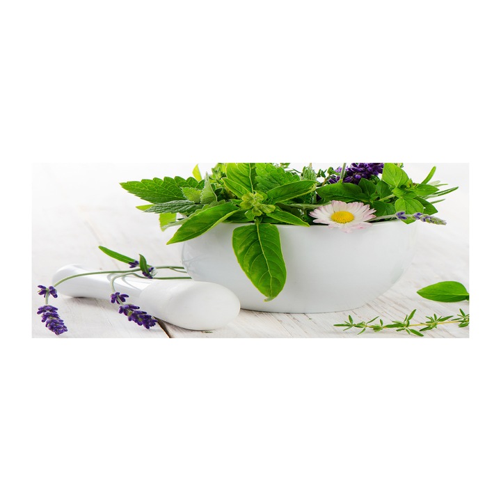 Panou de bucatarie, din sticla, 125x50 cm "Mortar si ierburi”