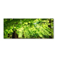pictura pe panza 125 x 50cm decorarea peretilor quotfrunze de fag imagen 24_0_
0