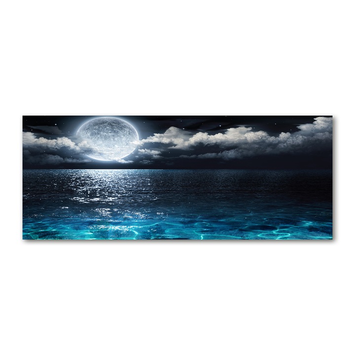 Pictura pe panza. Tulup. 125 cm x 50 cm. Decorarea peretilor. luna plina. Negru. 78125119
