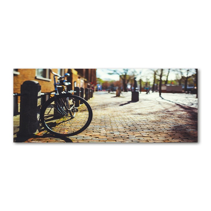 Pictura pe panza. 125 x 50cm. Decorarea peretilor "Bicicleta in Amsterdam”