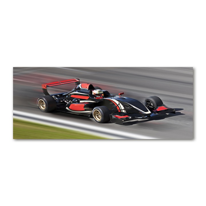 Pictura pe panza. 125 x 50cm. Decorarea peretilor "Formula 1”