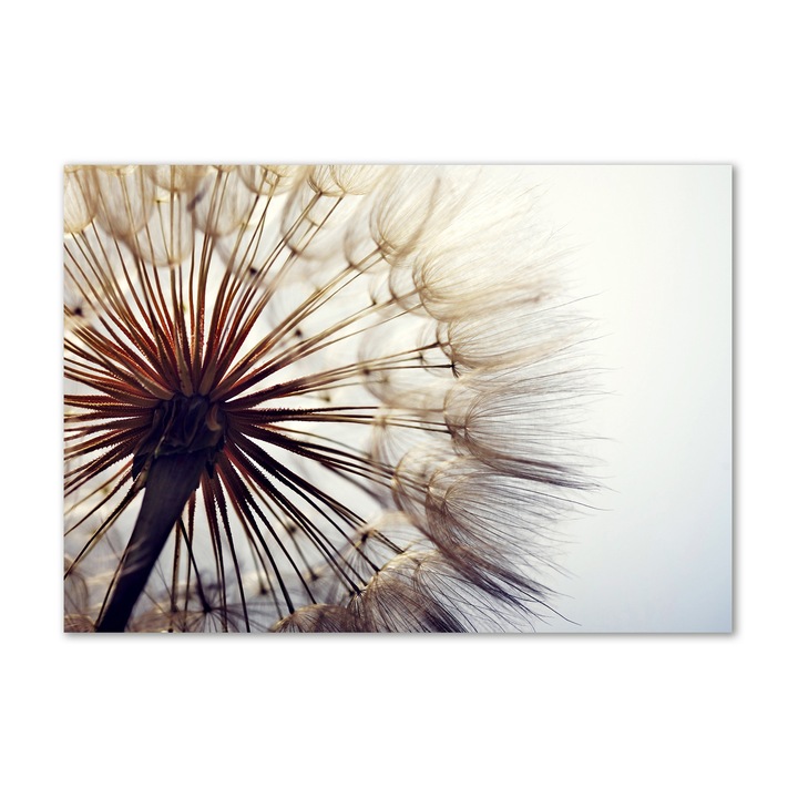 Vászon festmény, 100x70 cm, Fali dekoráció, Pitypang, 010030010040000006465