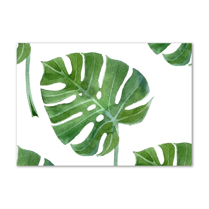 Panou de bucatarie, din sticla, Placi decorative, Monstera, 100 cm x 70 cm