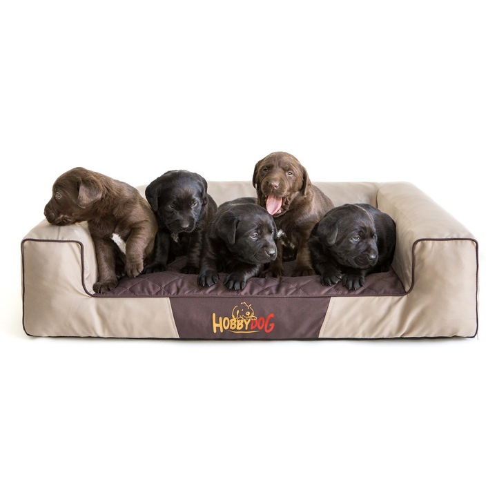 Culcus pentru animale, Hobbydog, XL, Bej/maro