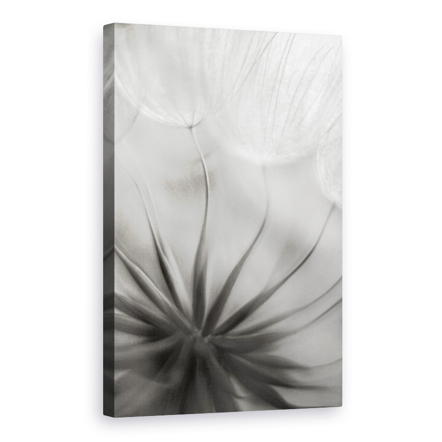 Tablou canvas - In Inima, Papadie, Seminte, Moale, Alb-Negru, Floare, 40 x 60 cm