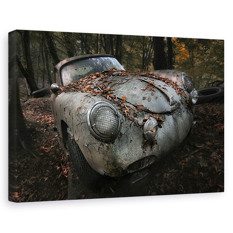 Tablou canvas - Padure Rosie, Natura Moarta, Stare De Spirit, Degradare, Masina, 40 x 60 cm