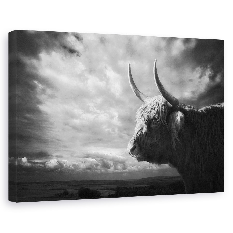 Tablou canvas - Highlands, Silueta, Bizon, Animal, Peisaj, Coarne, 40 x 60 cm