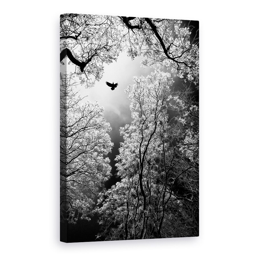 Tablou canvas - Zbor, Pasare, Copaci, Melenci, Serbia, 20 x 30 cm