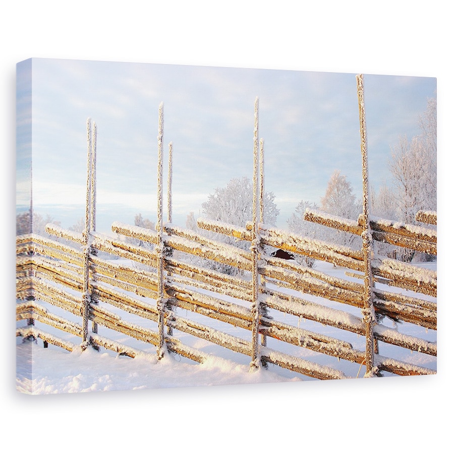 Tablou canvas - Dimineata Rece De Iarna, Rece, Zapada, Rime, Gard, 40 x 60 cm
