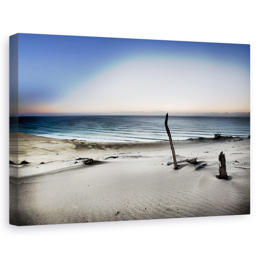 Tablou canvas - Atinge Soarele, Nisip, Dune, Lemn De Plus, Plaja, Peisaj, 60 x 90 cm