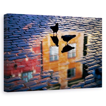 Tablou canvas - Porumbei, Apa, Baltoaca, Pietruit, Strada, 40 x 60 cm Tablou canvas - Porumbei, Apa, Baltoaca, Pietruit, Strada, 40 x 60 cm