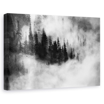 Tablou canvas - Agharta, Ceata, Padure, Polonia, Peisaj, Alb-Negru, 60 x 90 cm Tablou canvas - Agharta, Ceata, Padure, Polonia, Peisaj, Alb-Negru, 60 x 90 cm