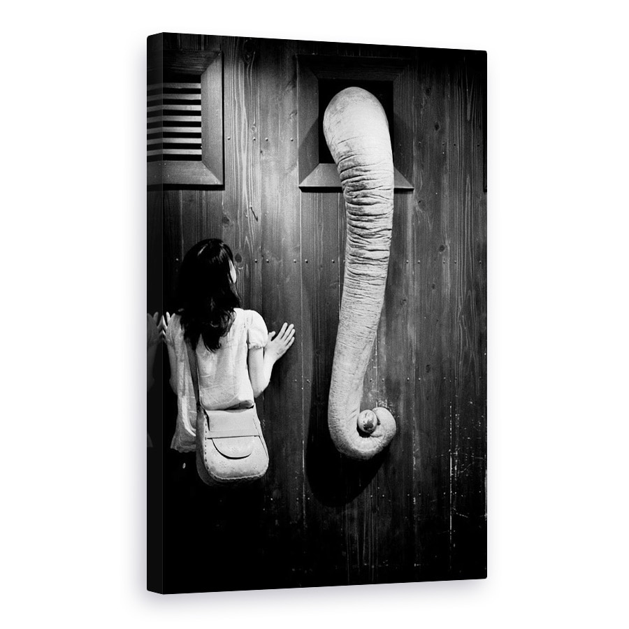 Tablou canvas - Elefant, Umor, Alb-Negru, Animal, 40 x 60 cm