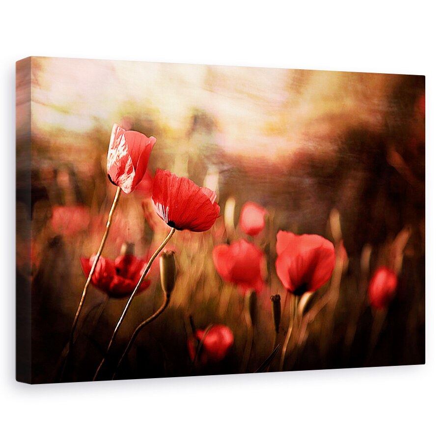 Tablou canvas - Aerul Diminetii, Maci, Vara, Floare, 20 x 30 cm