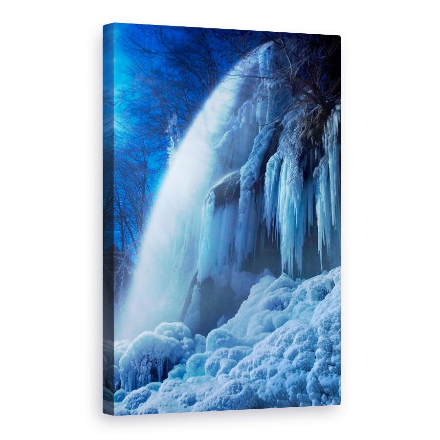 Tablou canvas - Inghetat In Lumina Lunii, Turture, 20 x 30 cm