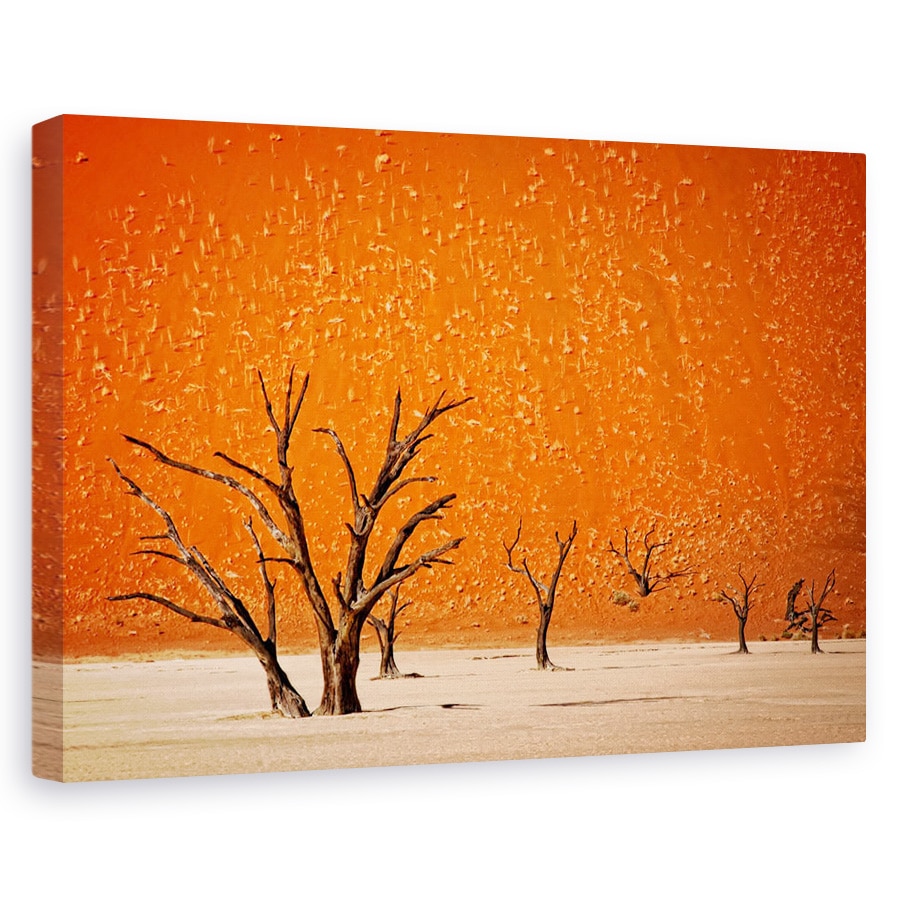 Tablou canvas - Cel Mai In Varsta, Peisaj, Mort, Copac, Nisip, Desert, 60 x 90 cm