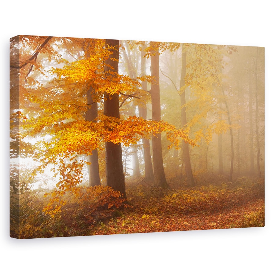 Tablou canvas - Marginea Padurii, Toamna, Frunze, 20 x 30 cm