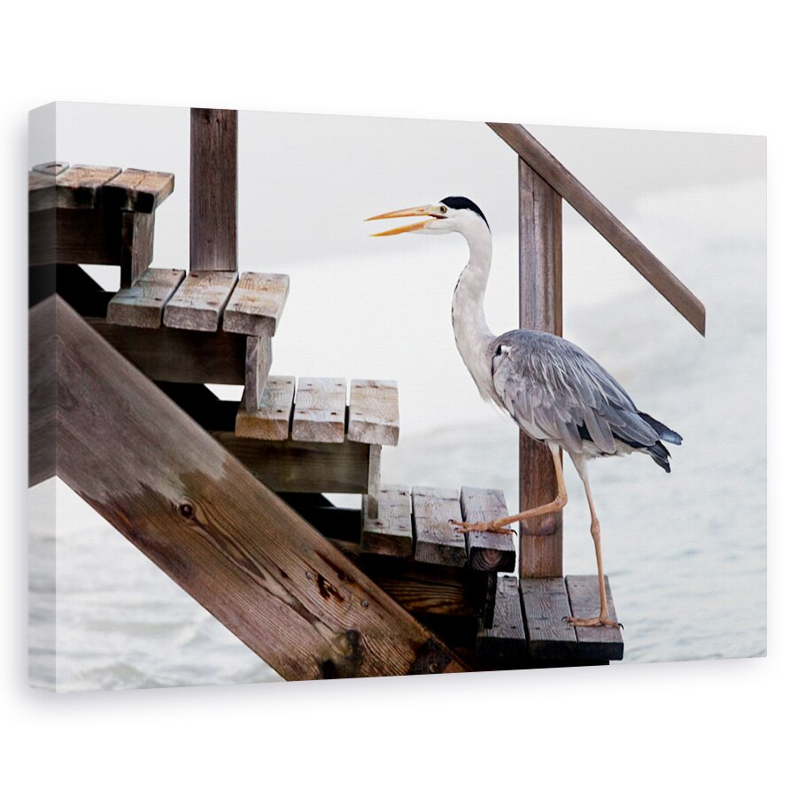 Tablou canvas - Cu Un Pas Ferm, Heron, Scari, Maldive, Pasare, 60 x 90 cm