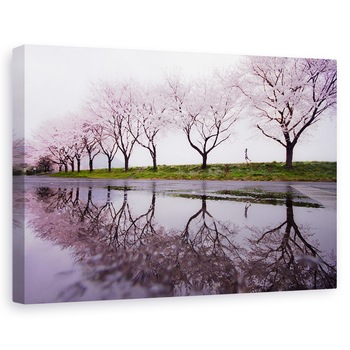 Tablou canvas - Ploaie De Primavara, Cirese, Inflorit, Copaci, Alee, Reflectie, 60 x 90 cm Tablou canvas - Ploaie De Primavara, Cirese, Inflorit, Copaci, Alee, Reflectie, 60 x 90 cm