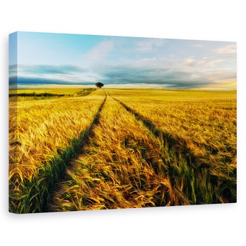 Tablou canvas - Rural, Camp, Peisaj, Copac, Singuratic, Batut De Vant, 40 x 60 cm Tablou canvas - Rural, Camp, Peisaj, Copac, Singuratic, Batut De Vant, 40 x 60 cm