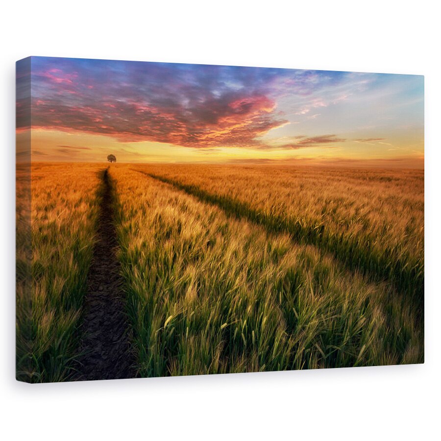 Tablou canvas - Undeva La Apus, Peisaj, Camp, Copac, Polonia, 60 x 90 cm