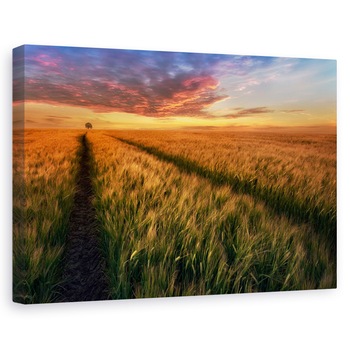 Tablou canvas - Undeva La Apus, Peisaj, Camp, Copac, Polonia, 20 x 30 cm Tablou canvas - Undeva La Apus, Peisaj, Camp, Copac, Polonia, 20 x 30 cm