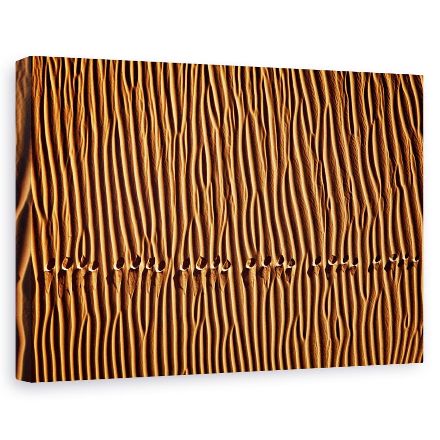 Tablou canvas - Urma, Desert, Model, Piese, Amprente, Pasi, 40 x 60 cm