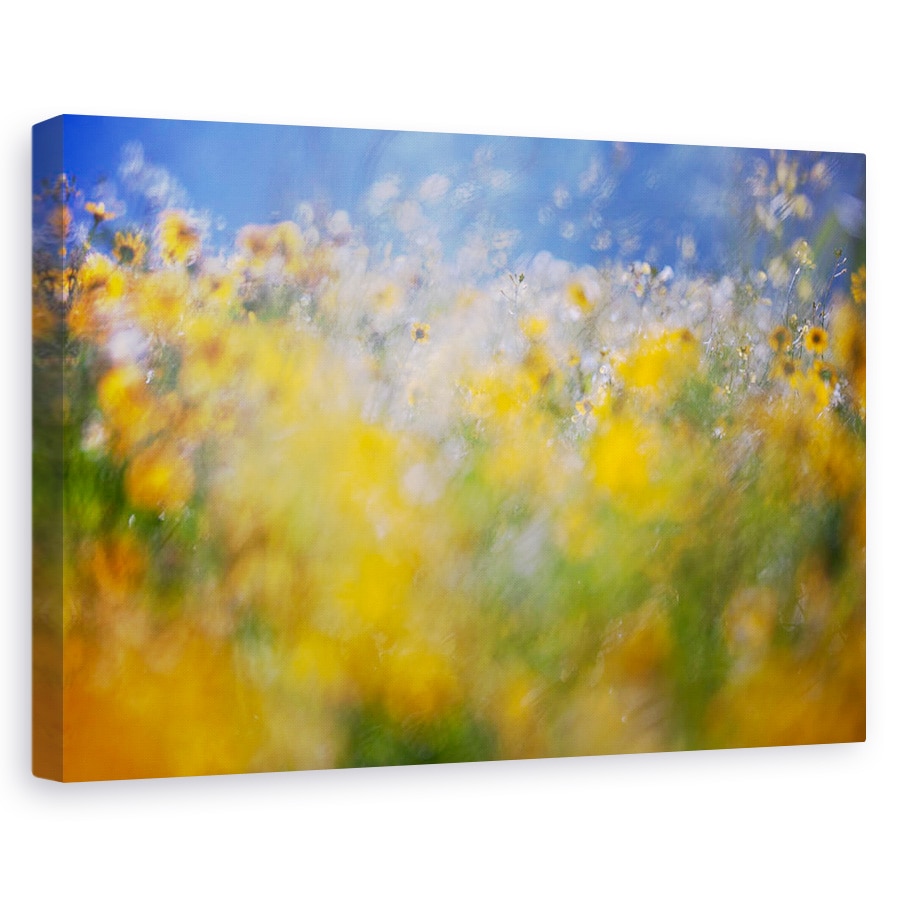 Tablou canvas - Un Tribut Adus Lui Monet, Vara, Flori, 40 x 60 cm