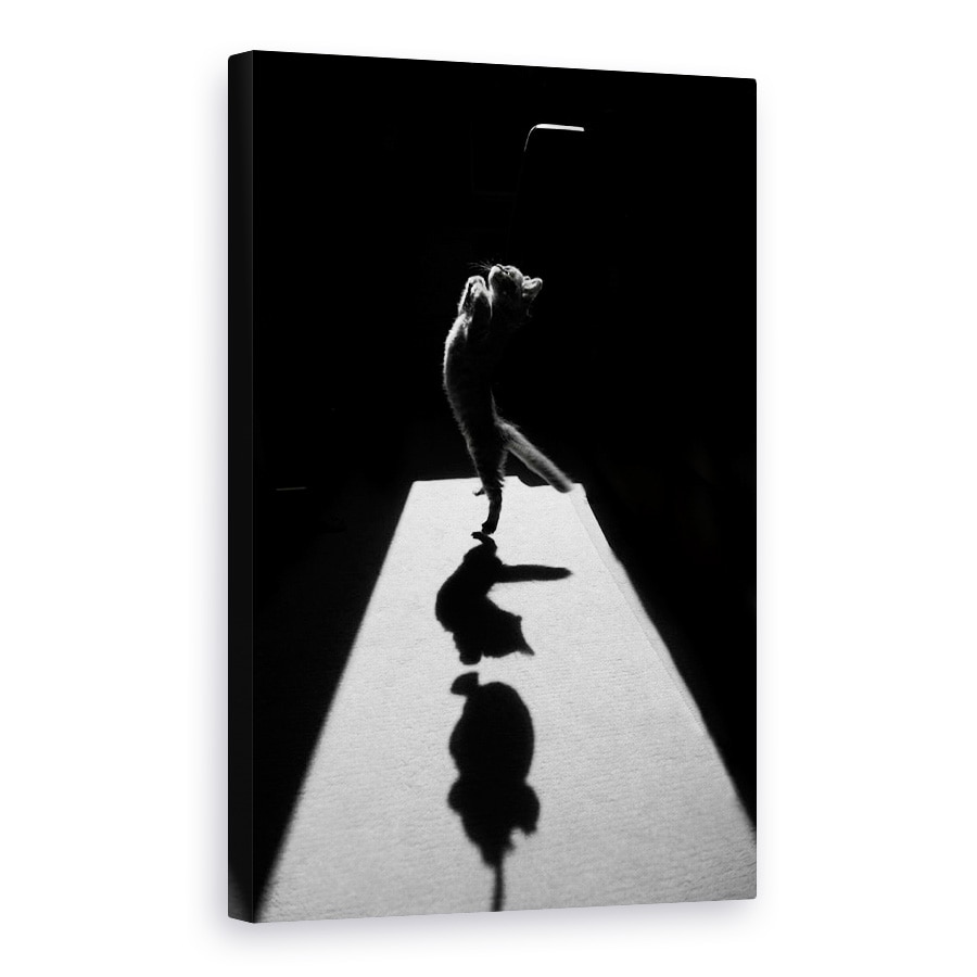 Tablou canvas - Marele Edgar, Pisica, Animal, Alb-Negru, Contrast, 60 x 90 cm