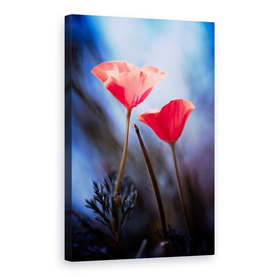 Tablou canvas - Dorinta, Maci, Romantism, Dragoste, 20 x 30 cm