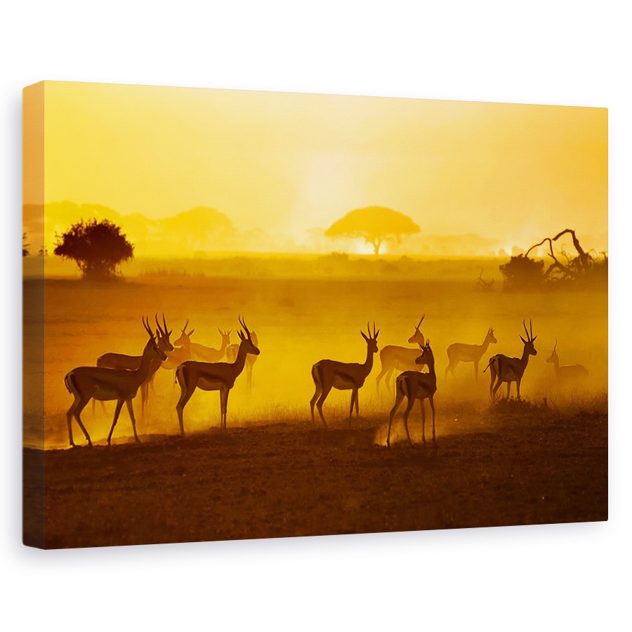Tablou canvas - Ai Grija, Natura, Animal, Savana, Peisaj, Salbatic, 60 x 90 cm
