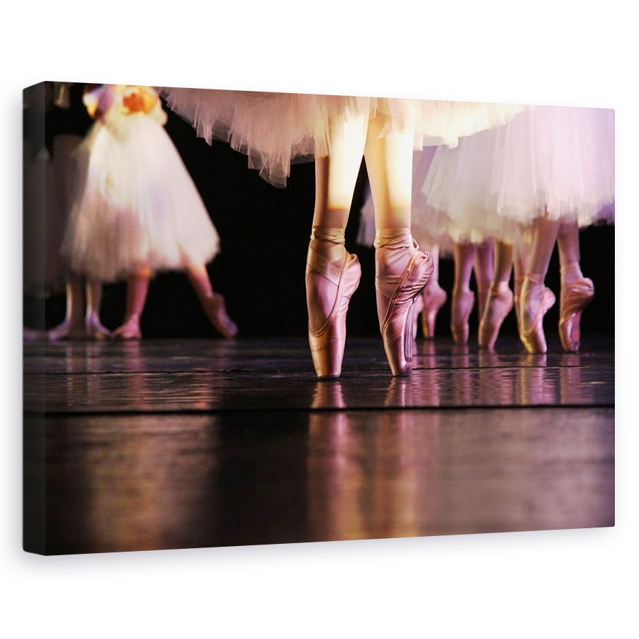 Tablou canvas - Clasic, Performanta, Dansatoare, Roz, Pastel, 60 x 90 cm