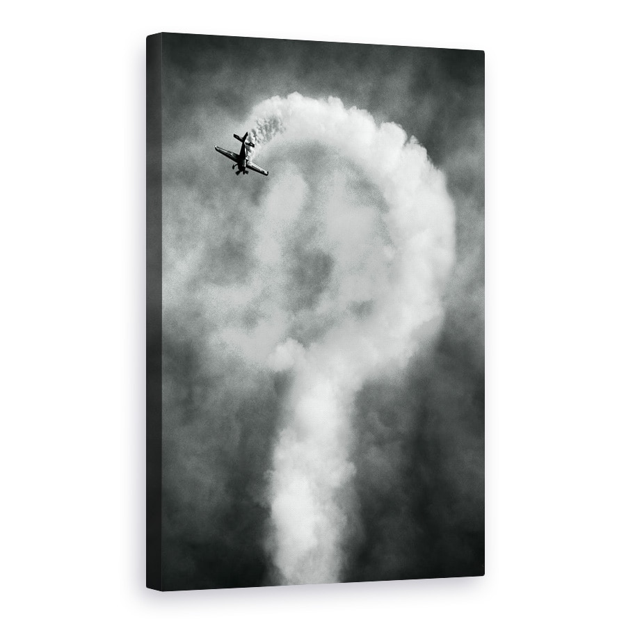 Tablou canvas - Intrebari Despre Aceasta Manevra, Avion, Accident, Looping, Intrebare, 40 x 60 cm
