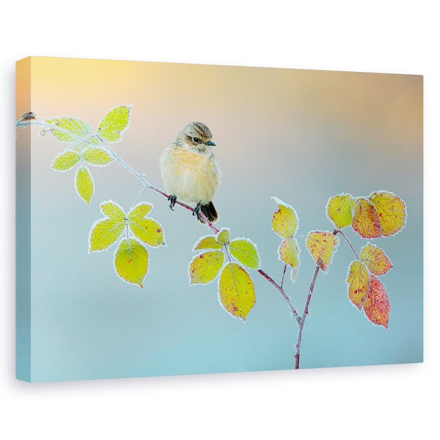 Tablou canvas - Culori De Iarna, Iarna, Rece, Inghet, 40 x 60 cm
