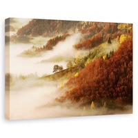 tablou canvas - ceata de noiembrie peisaj toamna atmosfera 20 x 30 cm imagen 19_0_
0