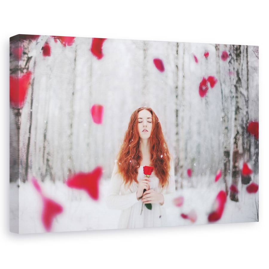 Tablou canvas - Trandafir, Petale, Rosu, 20 x 30 cm