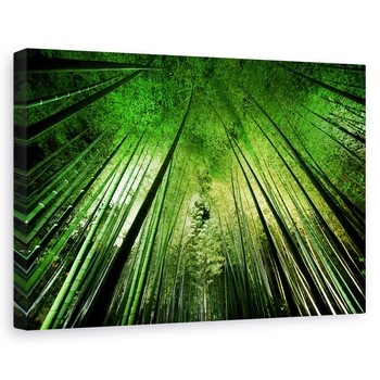 Tablou canvas - Noapte De Bambus, Frunzis, Vegetatie, Jungla, 20 x 30 cm Tablou canvas - Noapte De Bambus, Frunzis, Vegetatie, Jungla, 20 x 30 cm