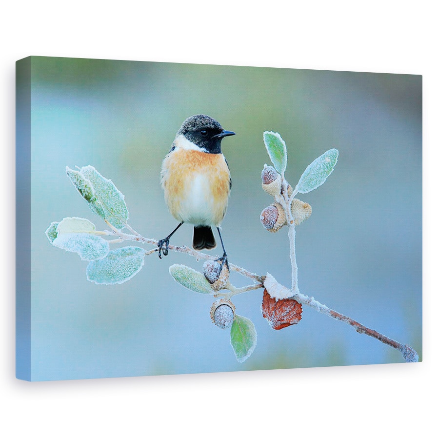 Tablou canvas - Iarna Grea, Natura, Pasare, Salbatic, Copac, Membre, 40 x 60 cm