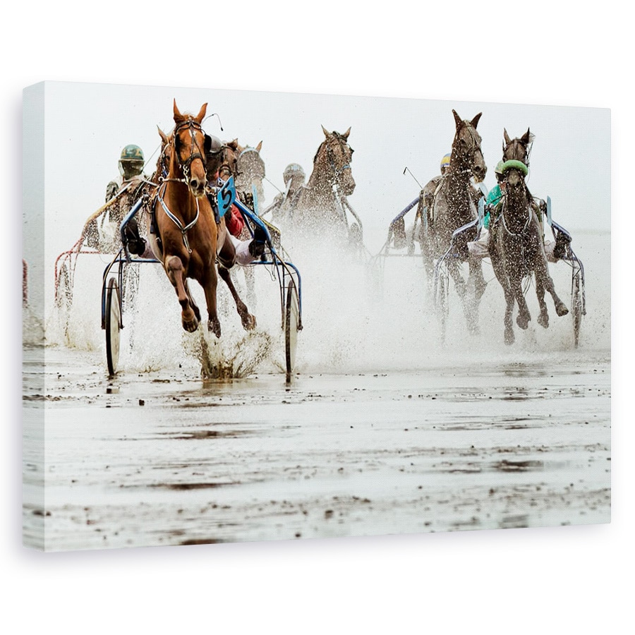 Tablou canvas - Duuuhnnn, Cai, Actiune, Concurs, Apa, Trot, 20 x 30 cm