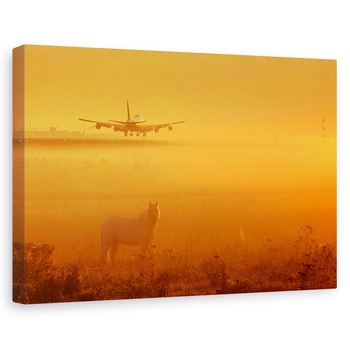 Tablou canvas - Cal, Avion De Pasageri, Aterizare, Teren, 80x120 cm Tablou canvas - Cal, Avion De Pasageri, Aterizare, Teren, 80x120 cm