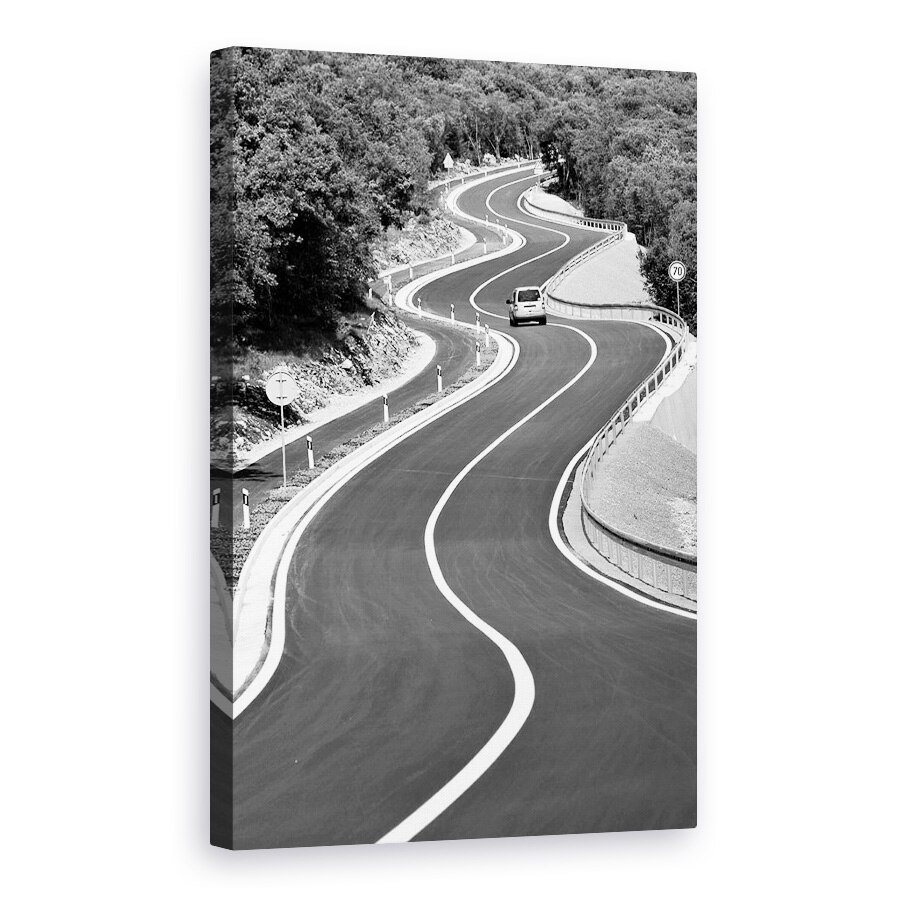 Tablou canvas - Fiecare Zi E Un Drum Serpuit, Curbe, 40 x 60 cm
