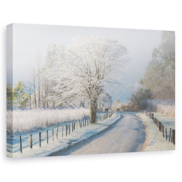 Tablou canvas - O Dimineata Inghetata, Cadeve, Zapada, Iarna, Cale, 60 x 90 cm