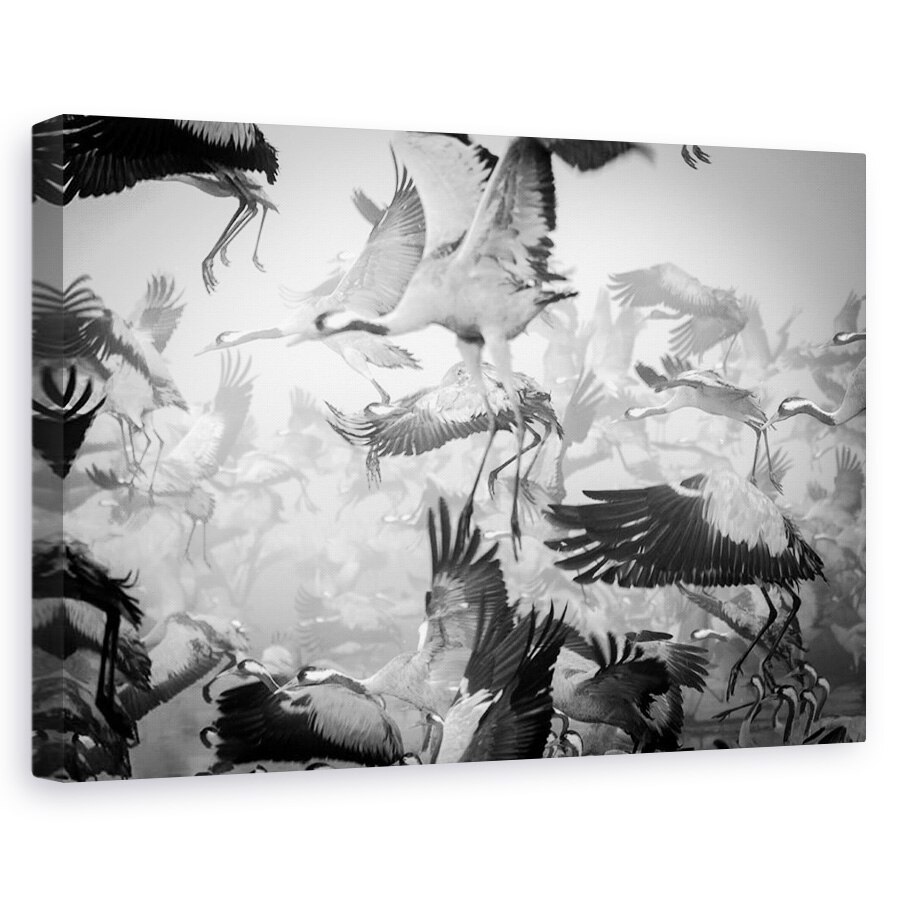 Tablou canvas - Haos, Ceata, Migratie, Lac, 20 x 30 cm