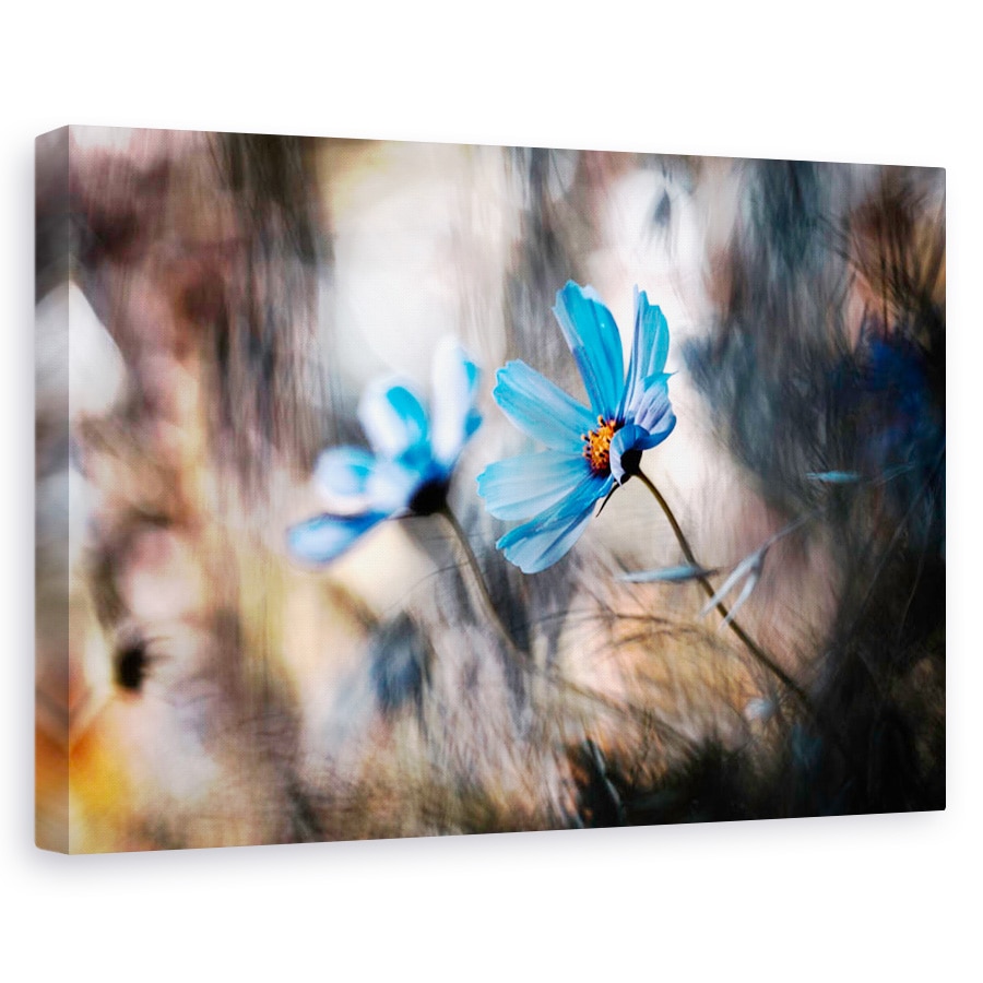 Tablou canvas - Noi Doi, Floare, Duo, Albastru, Macro, 40 x 60 cm