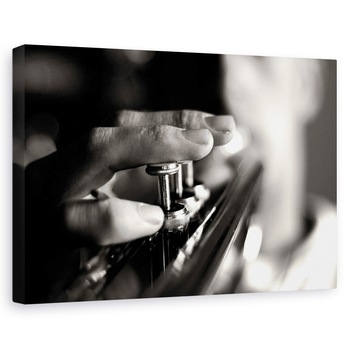 Tablou canvas - Jucator, Muzician, Trompeta, Instrument, Persoana, 20 x 30 cm Tablou canvas - Jucator, Muzician, Trompeta, Instrument, Persoana, 20 x 30 cm