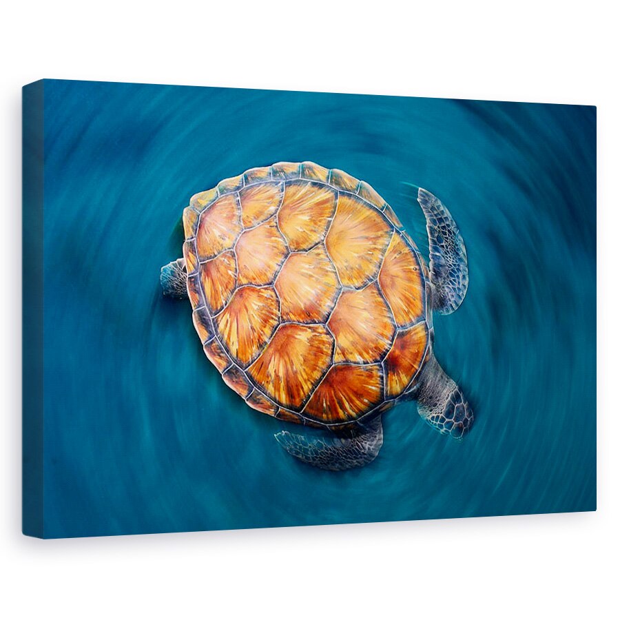 Tablou canvas - Testoasa, Sub Apa, Mare, Ocean, Salbatic, 40 x 60 cm