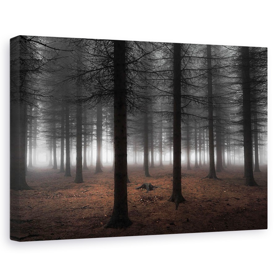 Tablou canvas - Tacere, Peisaj, Padure, Copac, Ceata, 20 x 30 cm