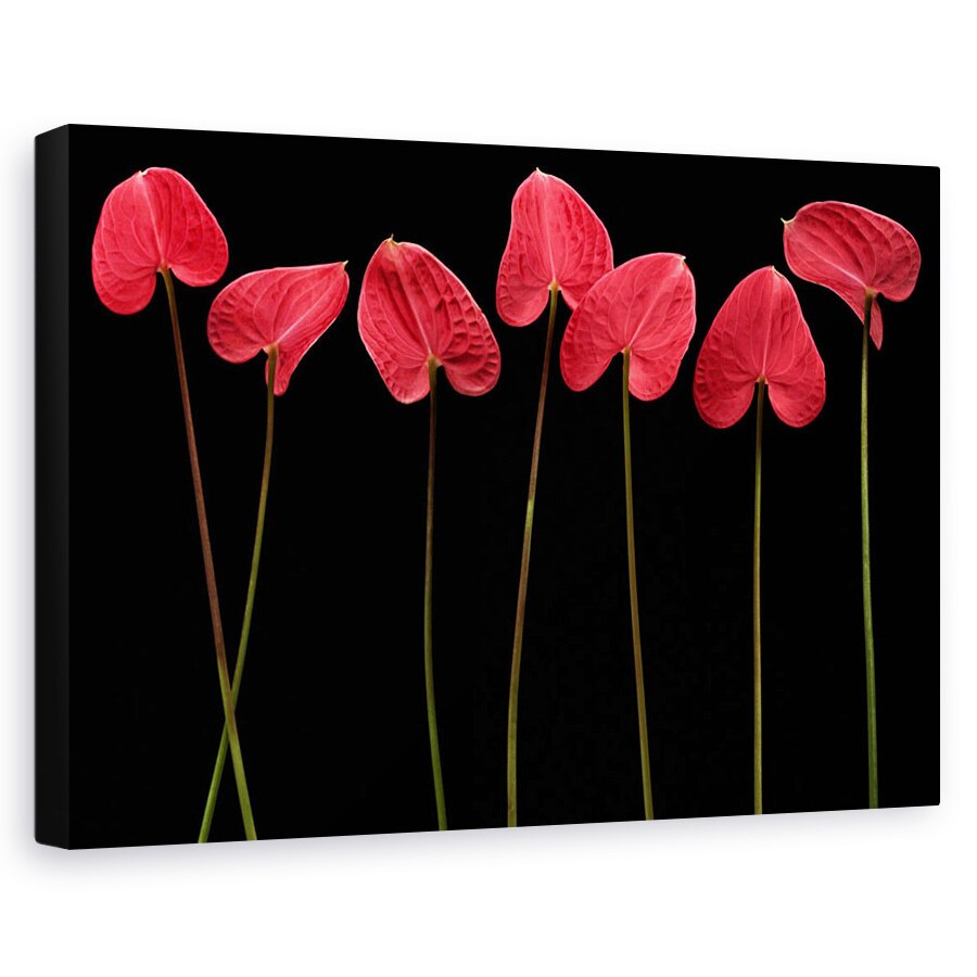 Tablou canvas - Inimi Botanice, Floare, Natura Moarta, Rosu, 20 x 30 cm